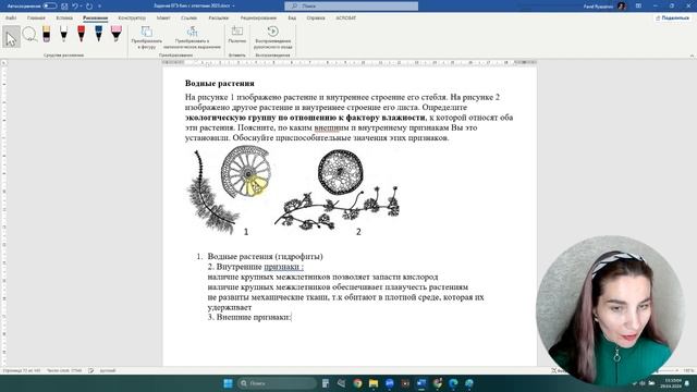 ВОДНЫЕ ЧЕРТЫ СТРОЕНИЯ У РАСТЕНИЙ! Гидрофиты, водные растения смотреть онлайн