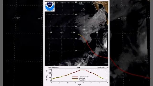 Tropical Cyclone Max смотреть онлайн