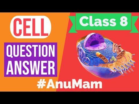 Cell Structure And Function | Question Answer | Class 8 | Chapter 8 | Science смотреть онлайн