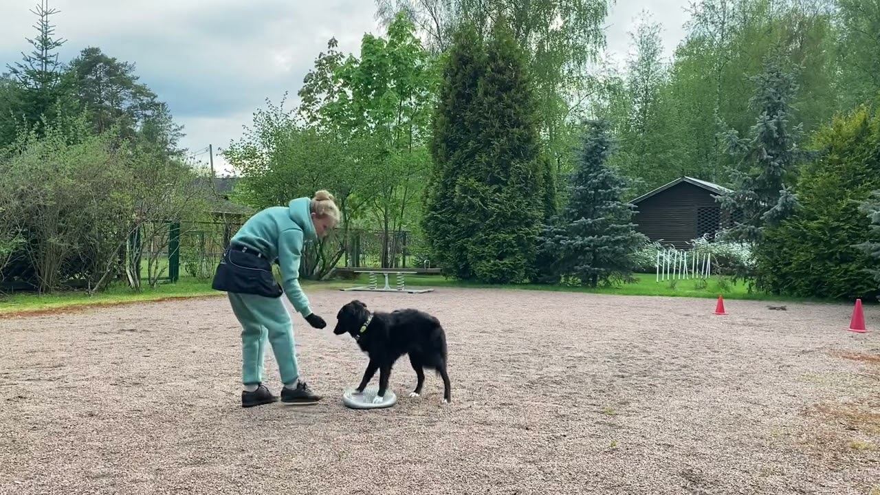 Боковые шаги Ти смотреть онлайн
