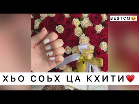 Чеченская Песня Хьо Соьх Ца Кхити😍🥰 смотреть онлайн