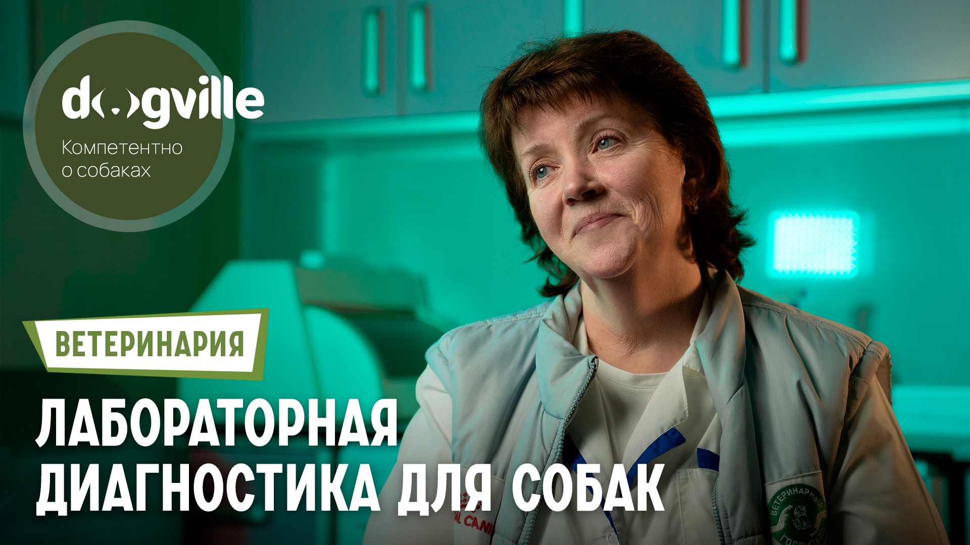 Методы лабораторной диагностики здоровья собак – ветеринар-биохимик