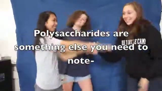 Saccharides! смотреть онлайн