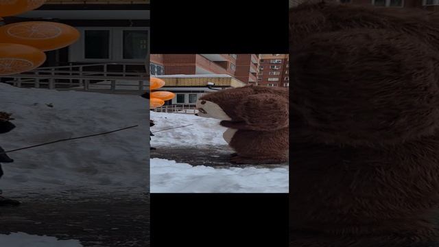 Девочка встала в ступоре от увиденного! Поздравление чебурашка смотреть онлайн