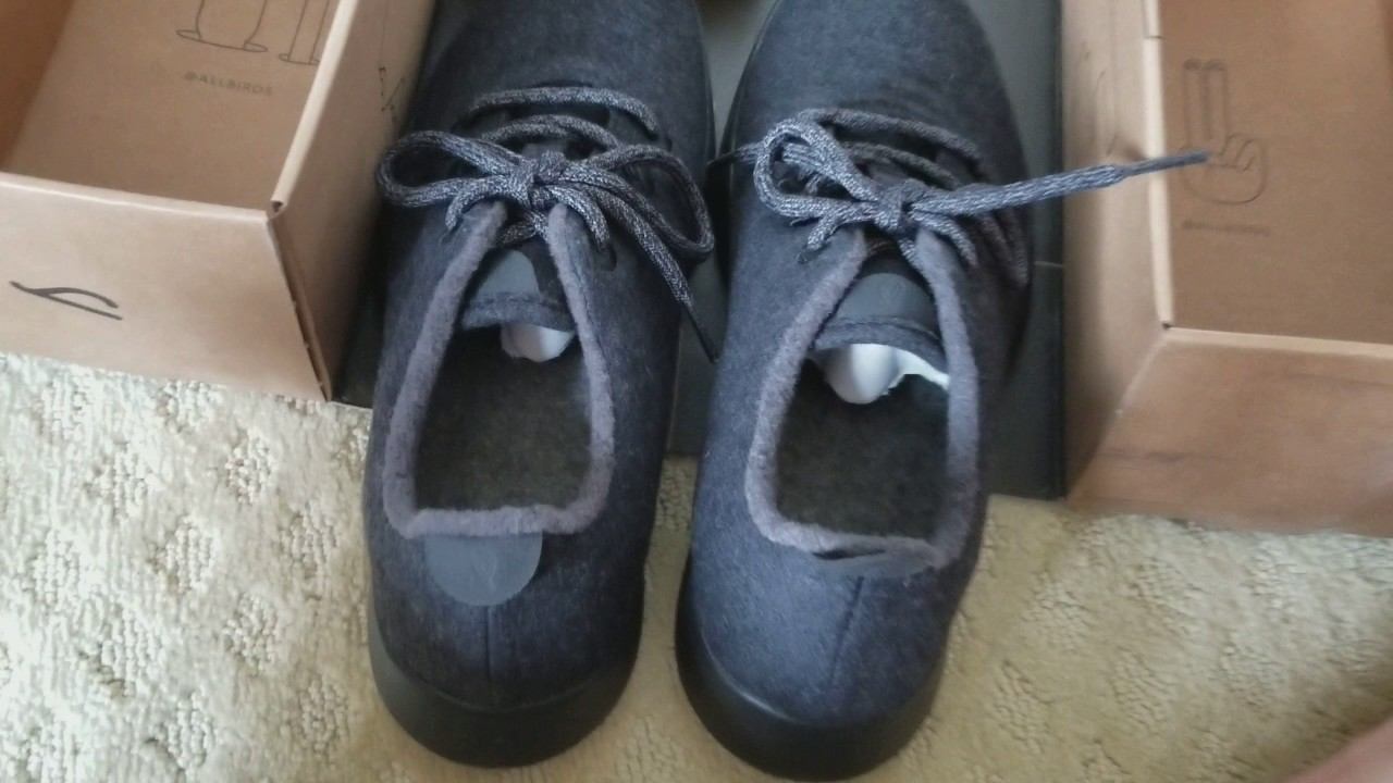 Allbird Wool Runners! смотреть онлайн