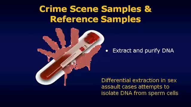 Generating forensic DNA profiles смотреть онлайн