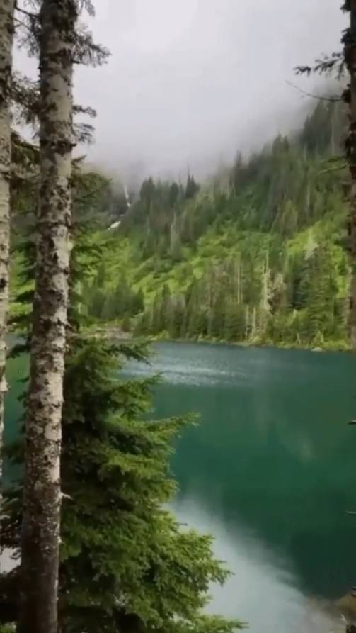 В своих ... смотреть онлайн