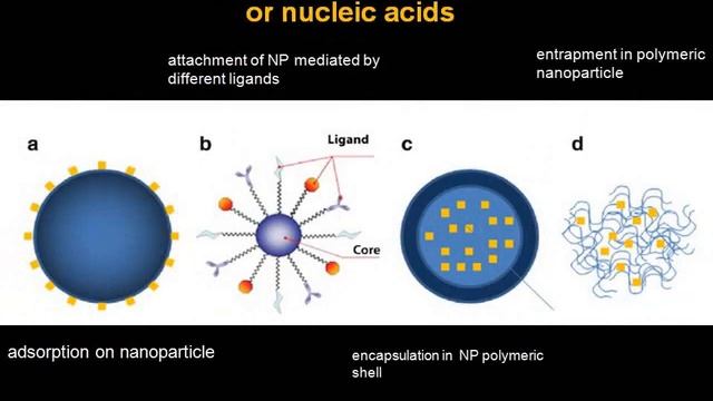 NanoTechnology in Agricultural Farming смотреть онлайн
