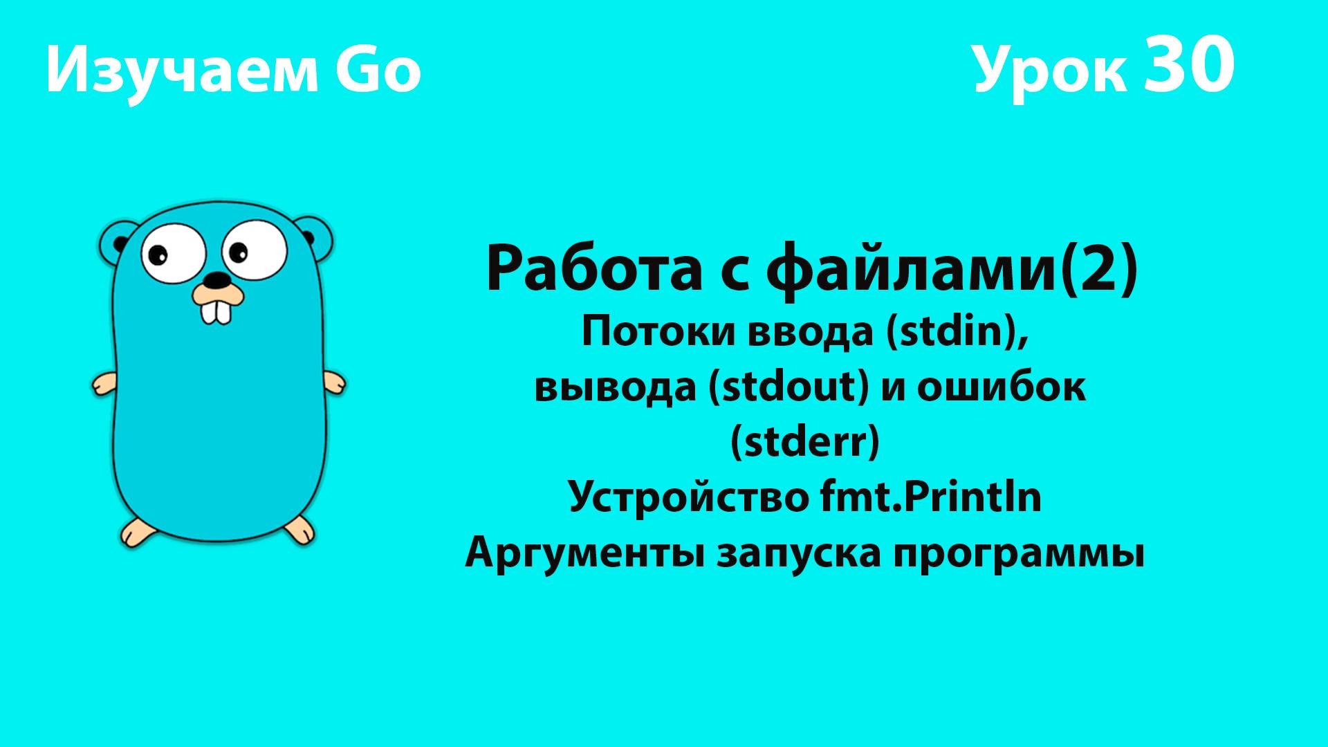 Изучаем Go. Урок №30. Работа с файлами(2). Потоки ввода, вывода, ошибок. Аргументы запуска программ