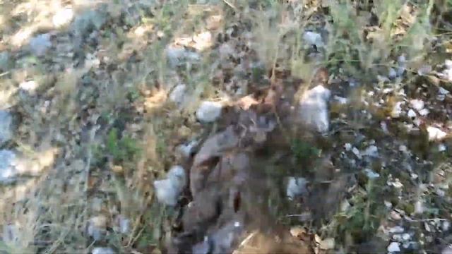 Металлокоп на ЖЕЛЕЗНОЙ ДОРОГЕ смотреть онлайн