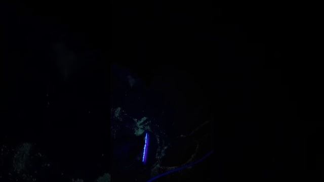 Таємниче дерево,яке світиться від ультрафіолету! смотреть онлайн