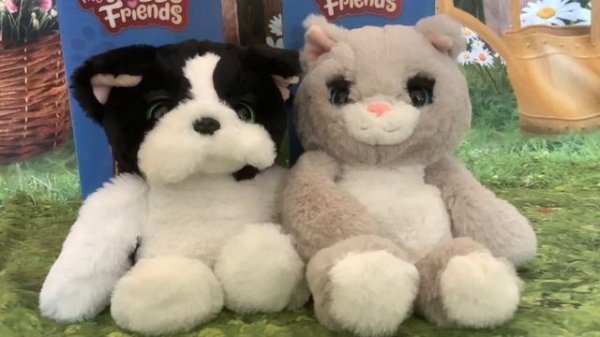 My Fuzzy Friends Tucker The Sleepy Puppy & Winks The Sleepy Kitty Comparison