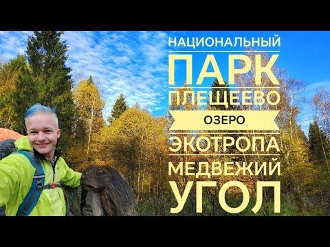 Экотропа «Медвежий угол». Национальный парк Плещеево озеро. смотреть онлайн