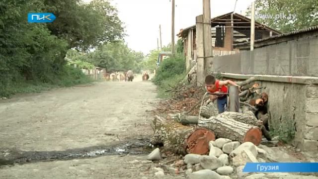 Бацбийцы смотреть онлайн