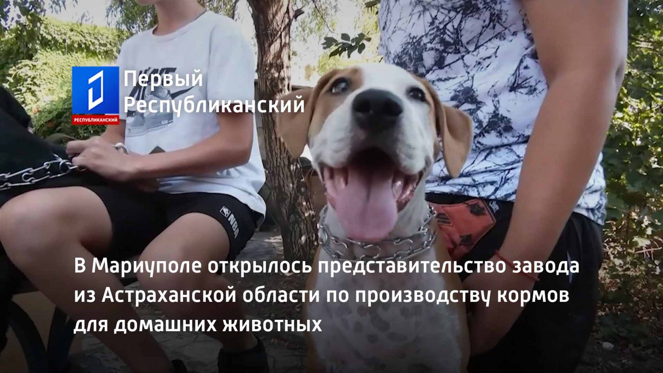 В Мариуполе открылось представительство завода из Астраханской области по производству кормов смотреть онлайн