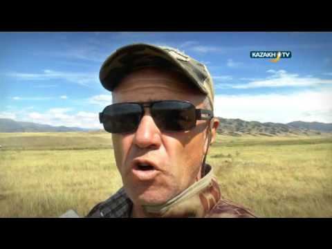 "Spirit of the wild" #31 (31.10.15)-Kazakh TV-ru смотреть онлайн