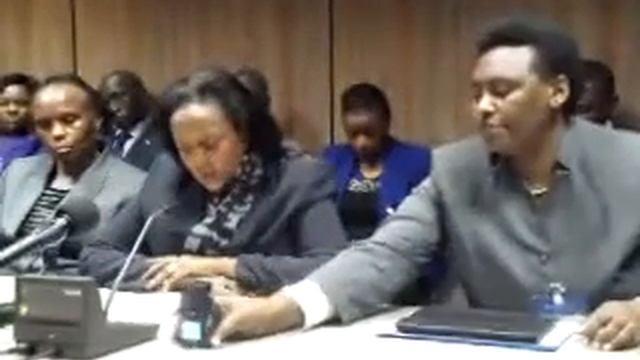 African Press International: Kenya Cabinet Secretary Ambassador Amina Mohamed briefs media, Hague: смотреть онлайн