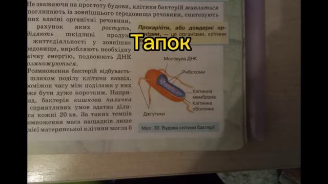 Как мы с мамой учим биологию meme смотреть онлайн