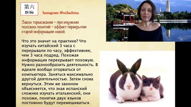 законы памяти и изучение языка смотреть онлайн