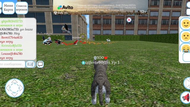 CatSim