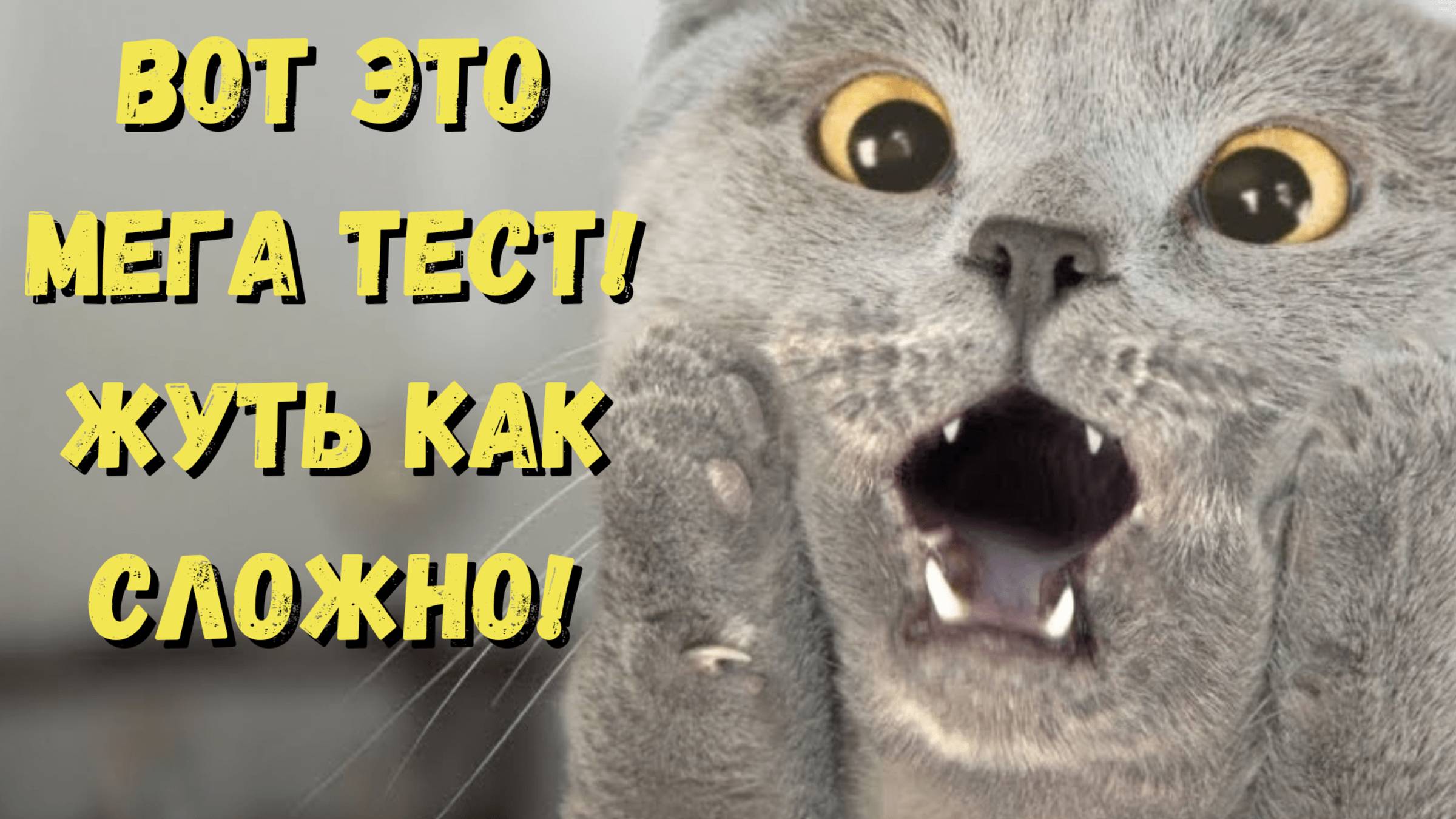 Викторина на общие вопросы «Мега тест на эрудицию» (50 вопросов) #викторина #эрудиция #квиз #тест смотреть онлайн