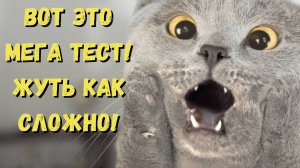 Викторина на общие вопросы «Мега тест на эрудицию» (50 вопросов) #викторина #эрудиция #квиз #тест