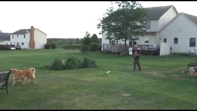 Forza Exceed RC Buggy and Traxxas T-Maxx 2.5 Nitro Jump смотреть онлайн