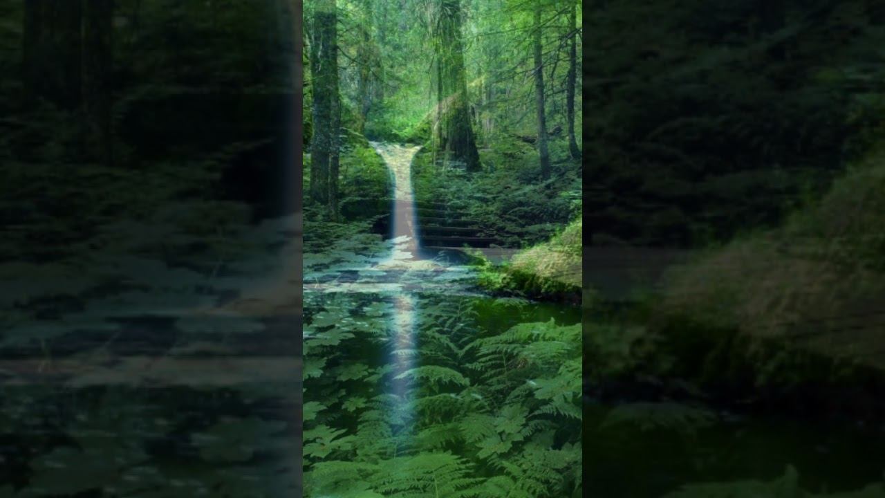 Rainforest | Слушать музыку "Rainforest" смотреть онлайн