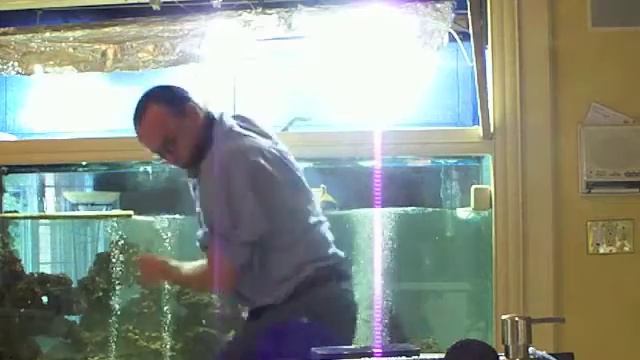Cleaning the 360 Gallon Tank Part Two Carls Aquarium смотреть онлайн
