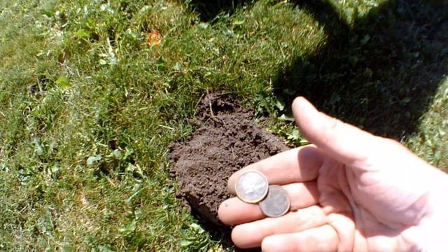 Finding Silver at the Park Borderline With The Nokta Makro SImplex смотреть онлайн