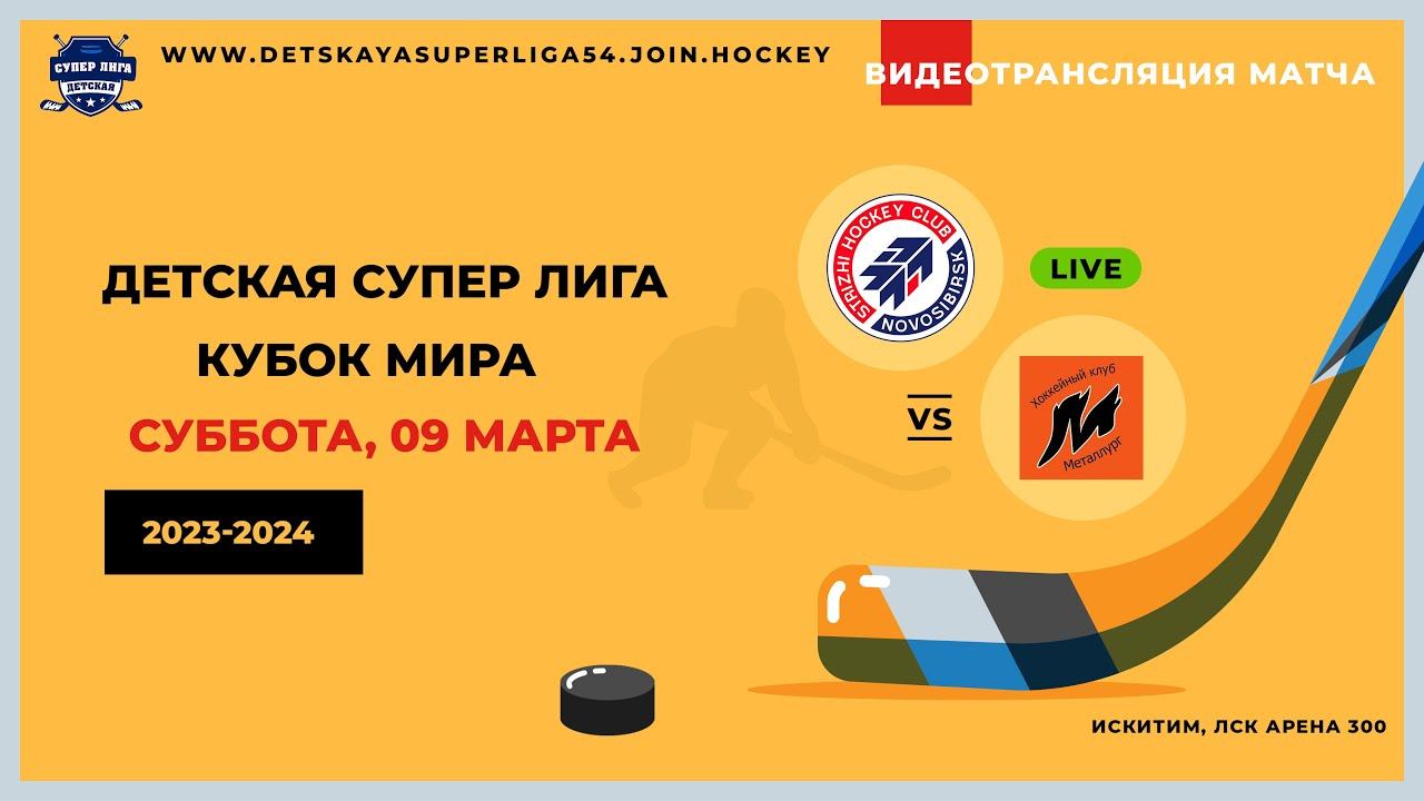 ХК Стрижи(15) - ХК Металлург(14) 09.03.2024г смотреть онлайн