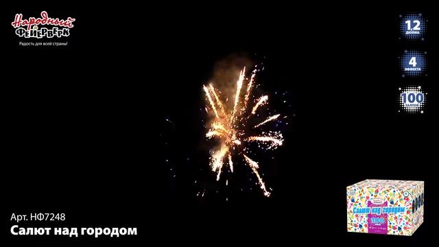 НФ7248 Фейерверк, батарея салютов Салют над городом.(1,2х100) смотреть онлайн