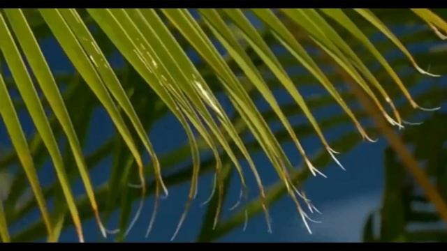 Amazing Places Around The World - (BORA BORA - FRENCH POLYNESIA) смотреть онлайн