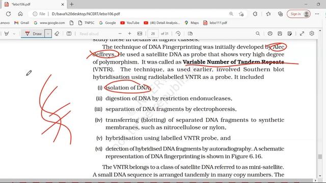Molecular basis of Inheritance P4 смотреть онлайн