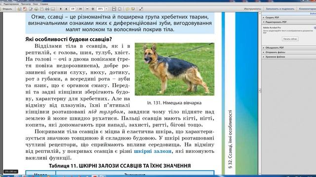 Ссавці 7 клас Біологія Щеглакова Д В смотреть онлайн