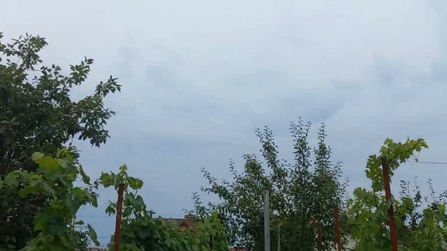 Чеканка на винограднике смотреть онлайн