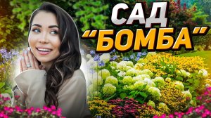 🔥ПОСАДИЛ И ЗАБЫЛ! 30 самых неприхотливых многолетников и декоративных кустарников