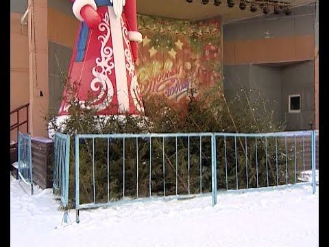 На переработку или в дар животным смотреть онлайн