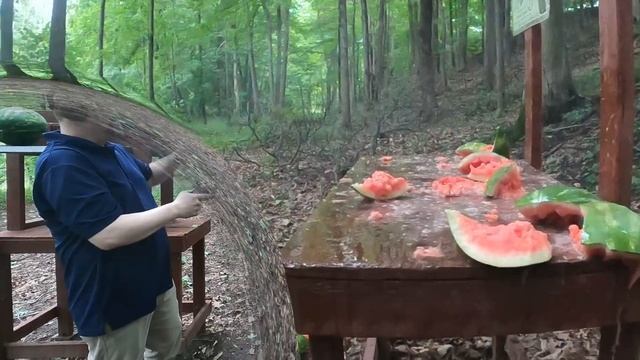 🍉Watermelons🍉 VS Handguns! 💥 9mm+P+ VS .45 ACP+P VS .44 Special VS .357 Magnum смотреть онлайн