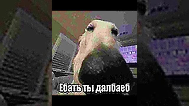 ДО МУРАШЕК...