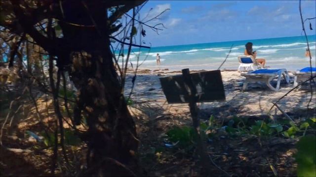#❤️Playa Pilar #cuba #beach barbecue #💙shob Sharma #coyo coco😍😍 смотреть онлайн