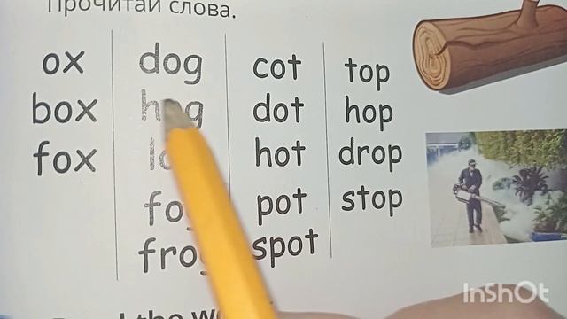 читаємо слова з літерою Оо, впр.4, ст.113 Quick Minds 1 клас смотреть онлайн