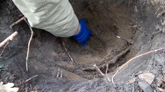 КЛАД МОНЕТ И ЗОЛОТОЙ КИНЖАЛ! НАХОДКИ СТАВШИЕ СЕНСАЦИЕЙ! В ПОИСКАХ КЛАДА И ЗОЛОТА! смотреть онлайн