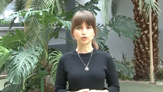 Магистерская программа "Управление ИТ-проектами" смотреть онлайн