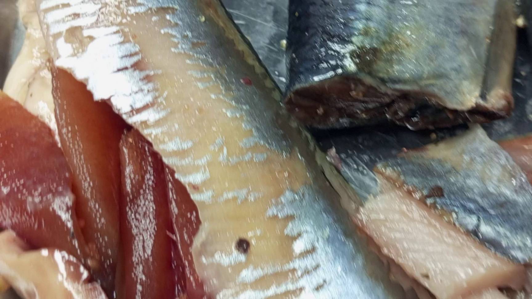 СЕЛЬДЬ ПП СССР #boosty смотреть онлайн