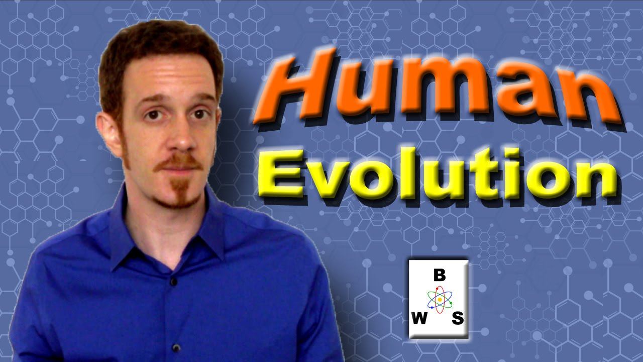 Human Evolution - Mammals, Monkeys, and Man! смотреть онлайн