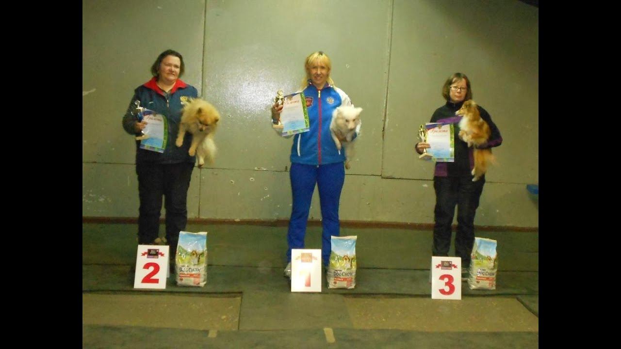 Кубок Ивановской обл 2016 смотреть онлайн