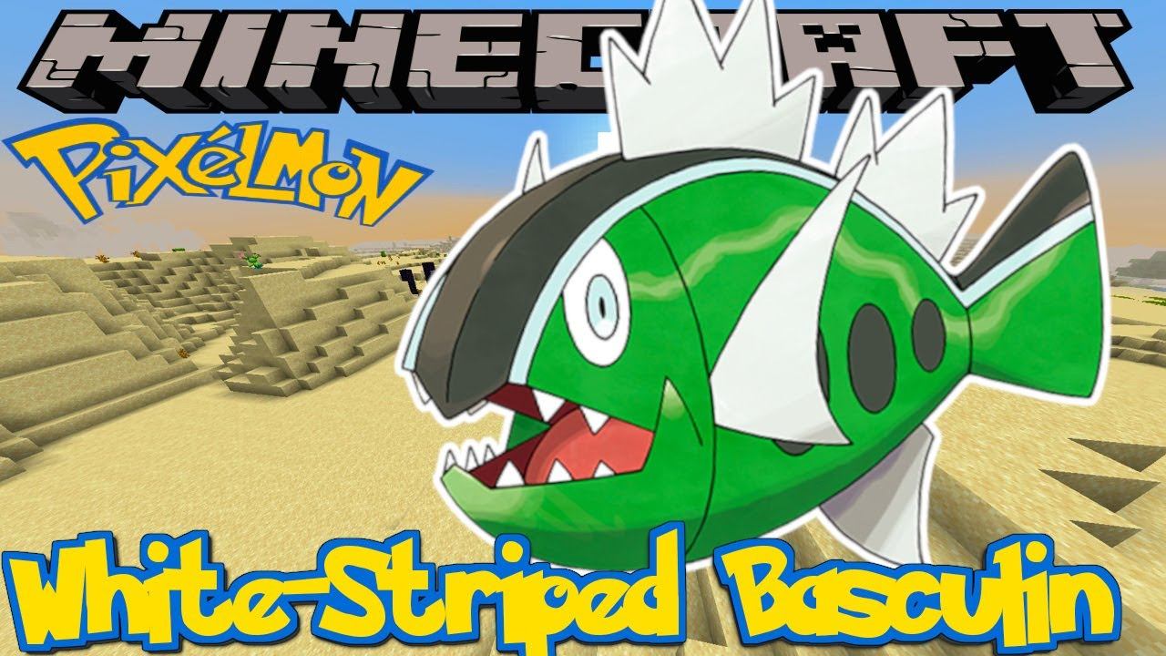 HOW TO FIND WHITE-STRIPED BASCULIN IN PIXELMON REFORGED - MINECRAFT GUIDE смотреть онлайн