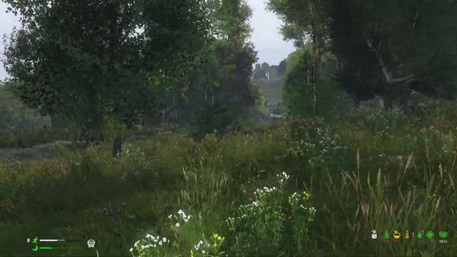 Моя потеря потерь/первак PVP/#dayz #выживание #первак смотреть онлайн