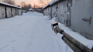 Отстрел стандартной Reximex Force 1